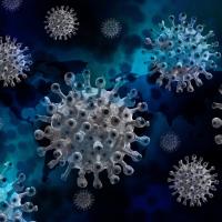 La investigación sobre la pandemia covid-19 desde el CSIC y las ciencias sociales y humanas
