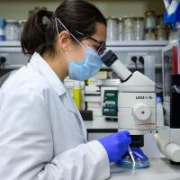 El CSIC publica un ‘ranking’ de las 5.000 científicas españolas más destacadas