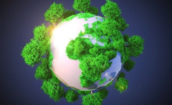 “La economía circular no consiste solo en reciclar, sino en repensar y rediseñar todo el ciclo de vida de los productos”