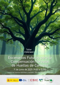 Taller FOREWAY: "Escenarios Futuros para la Compensación Forestal de Huellas de Carbono" Taller FOREWAY: "Escenarios Futuros para la Compensación Forestal de Huellas de Carbono"
